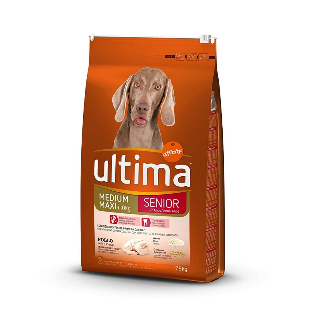 Los 5 mejores piensos para perros