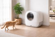 Arenero autolimpiable para gatos: ventajas, mantenimiento y los mejores modelos para controlar olores