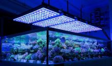 Los 7 mejores sistemas de iluminación led para acuarios
